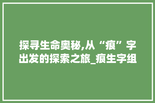 探寻生命奥秘,从“痕”字出发的探索之旅_痕生字组词拼音