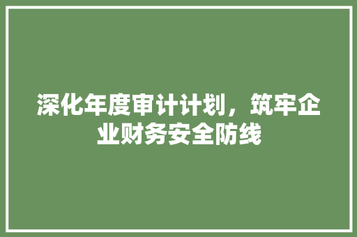 深化年度审计计划，筑牢企业财务安全防线