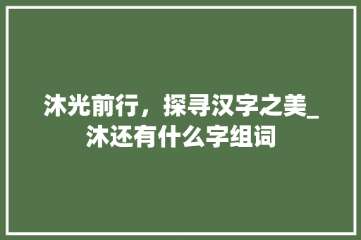 沐光前行，探寻汉字之美_沐还有什么字组词