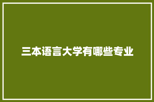 三本语言大学有哪些专业 汉字拼音