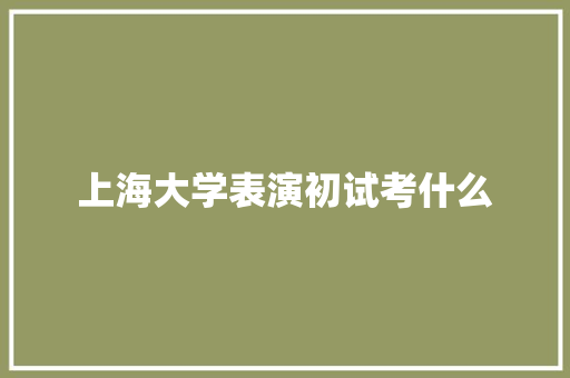 上海大学表演初试考什么