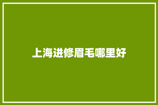 上海进修眉毛哪里好