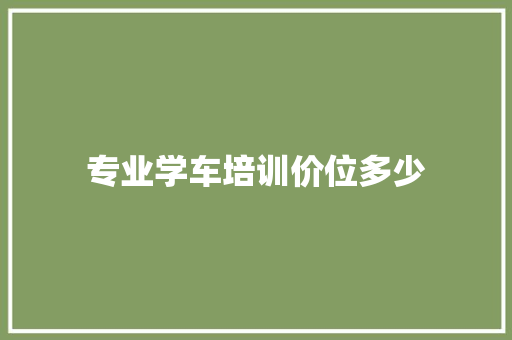 专业学车培训价位多少