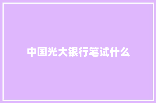 中国光大银行笔试什么