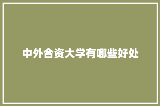 中外合资大学有哪些好处