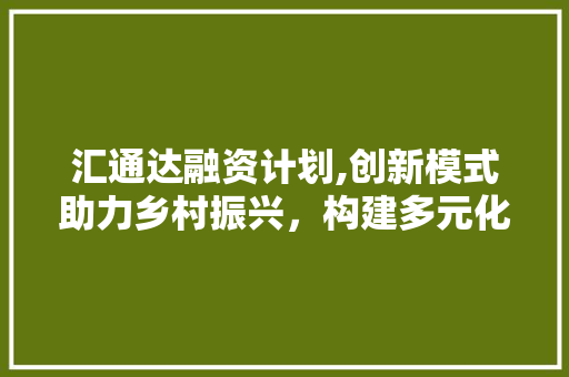 汇通达融资计划,创新模式助力乡村振兴，构建多元化金融生态