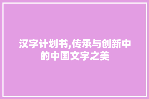 汉字计划书,传承与创新中的中国文字之美