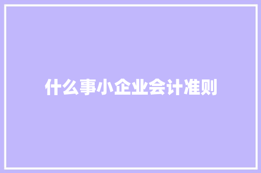 什么事小企业会计准则