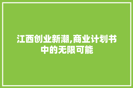 江西创业新潮,商业计划书中的无限可能