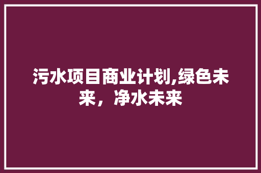 污水项目商业计划,绿色未来，净水未来