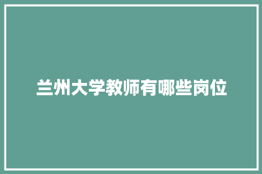 兰州大学教师有哪些岗位