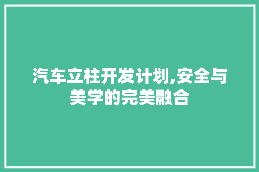 汽车立柱开发计划,安全与美学的完美融合
