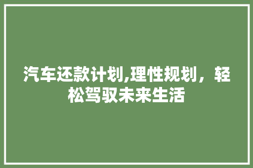 汽车还款计划,理性规划，轻松驾驭未来生活