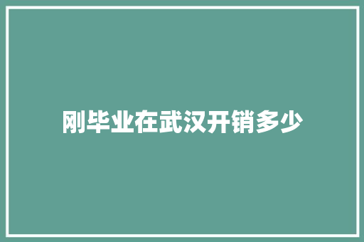 刚毕业在武汉开销多少