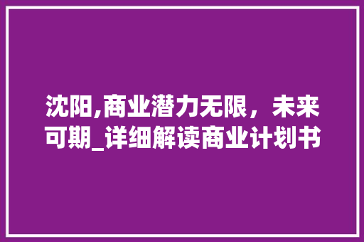 沈阳,商业潜力无限，未来可期_详细解读商业计划书中的关键词