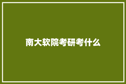 南大软院考研考什么
