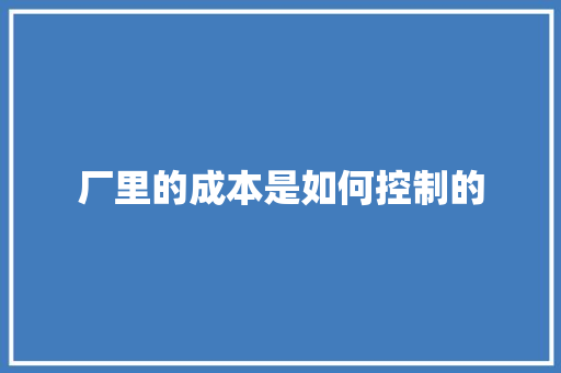 厂里的成本是如何控制的