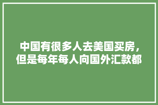 短信商业计划书,开启精准营销新时代