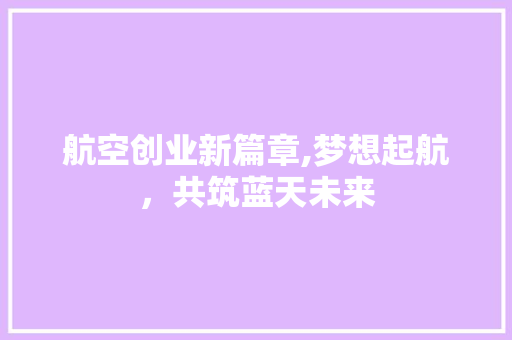 航空创业新篇章,梦想起航，共筑蓝天未来