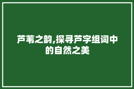 芦苇之韵,探寻芦字组词中的自然之美