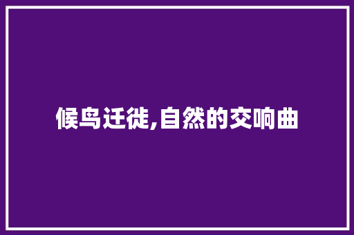 候鸟迁徙,自然的交响曲