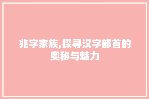 兆字家族,探寻汉字部首的奥秘与魅力