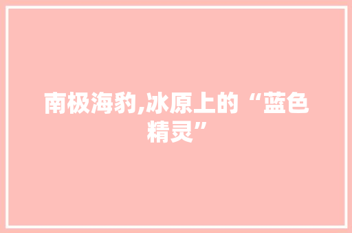 南极海豹,冰原上的“蓝色精灵” 近义词汇