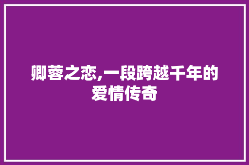 卿蓉之恋,一段跨越千年的爱情传奇 汉字拼音