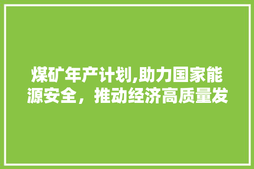 煤矿年产计划,助力国家能源安全，推动经济高质量发展