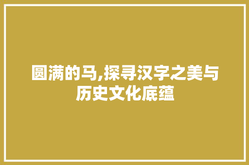 圆满的马,探寻汉字之美与历史文化底蕴