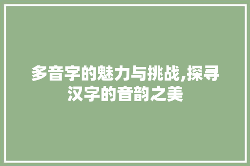 多音字的魅力与挑战,探寻汉字的音韵之美