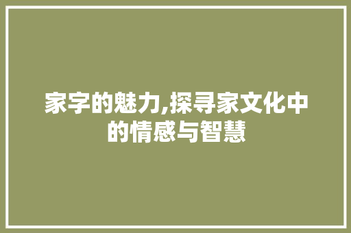 家字的魅力,探寻家文化中的情感与智慧