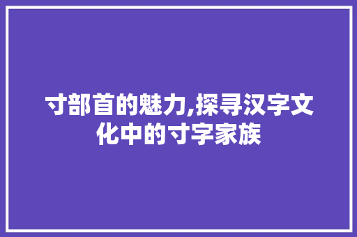 寸部首的魅力,探寻汉字文化中的寸字家族