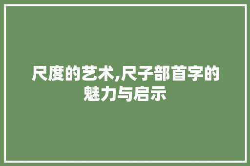 尺度的艺术,尺子部首字的魅力与启示