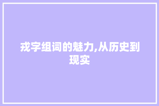 戎字组词的魅力,从历史到现实
