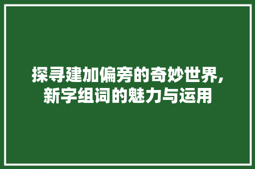 探寻建加偏旁的奇妙世界,新字组词的魅力与运用