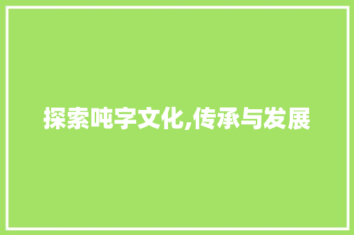 探索吨字文化,传承与发展