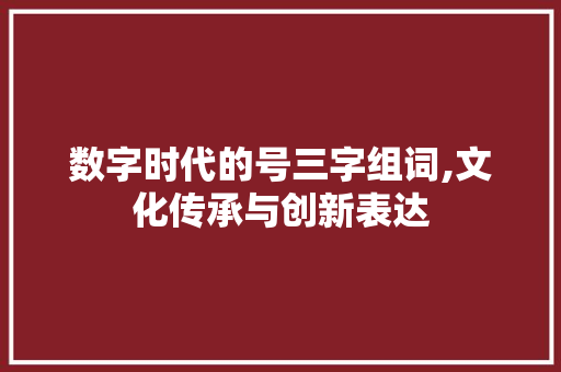 数字时代的号三字组词,文化传承与创新表达