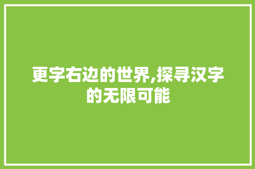 更字右边的世界,探寻汉字的无限可能
