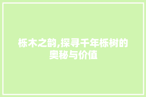 栎木之韵,探寻千年栎树的奥秘与价值