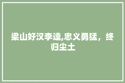 梁山好汉李逵,忠义勇猛，终归尘土