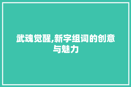 武魂觉醒,新字组词的创意与魅力