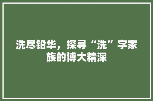洗尽铅华，探寻“洗”字家族的博大精深