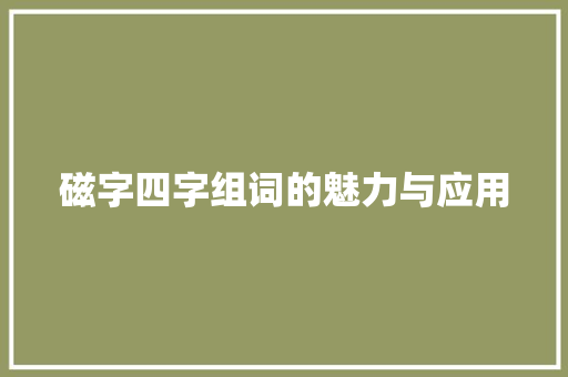 磁字四字组词的魅力与应用