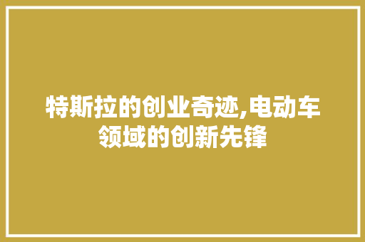 特斯拉的创业奇迹,电动车领域的创新先锋