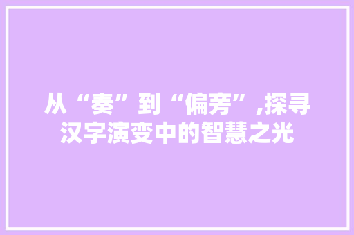 从“奏”到“偏旁”,探寻汉字演变中的智慧之光
