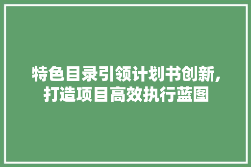 特色目录引领计划书创新,打造项目高效执行蓝图