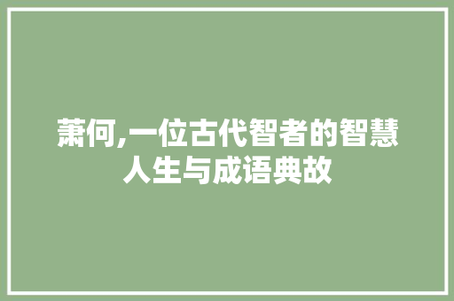 萧何,一位古代智者的智慧人生与成语典故