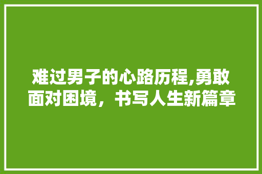 难过男子的心路历程,勇敢面对困境，书写人生新篇章 成语汇编