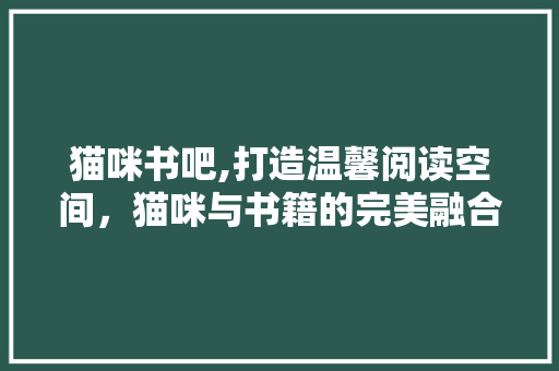 猫咪书吧,打造温馨阅读空间，猫咪与书籍的完美融合